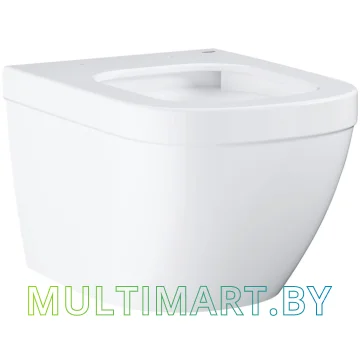 Унитаз Grohe Euro 39206000